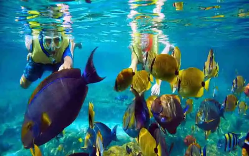snorkeling snorkeling